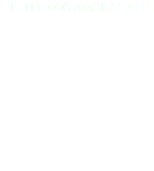 ESTUDIOS AMBIENTALES