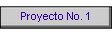 Proyecto No. 1
