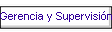 Gerencia y Supervisin